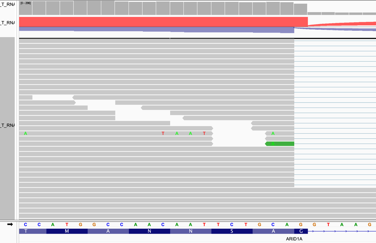 Jeffrey Gagan MD, PhD tweet media