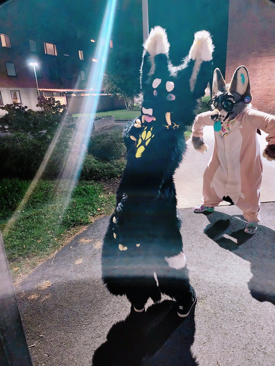 🌈 Charlie tweet media