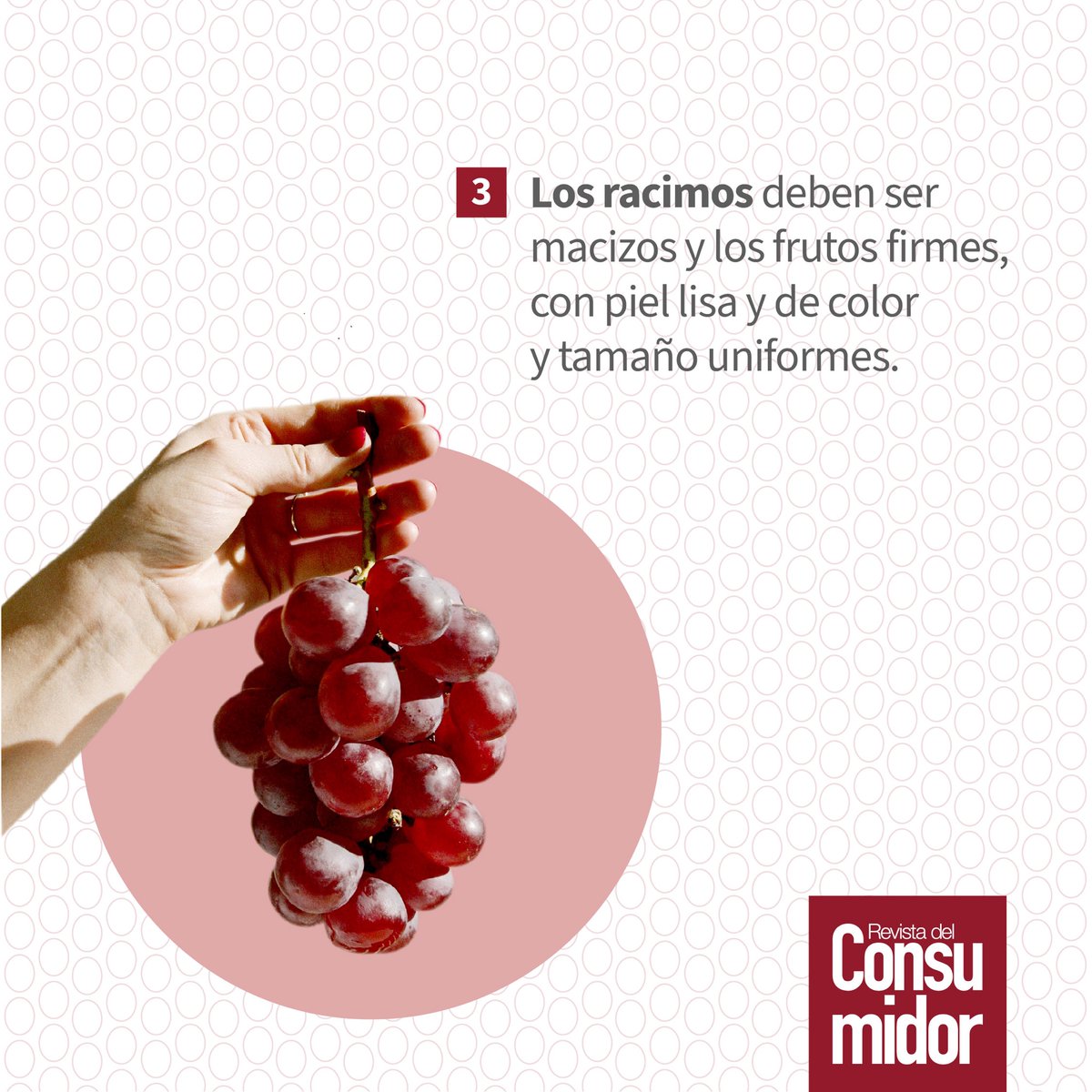 Profeco's tweet photo. 🍇La #Uva es rica en vitaminas A, B1, B2, B3, B6, C y E. Además contiene antioxidantes como antocianos, flavonoides y taninos.
🛒Aprende a comprarla y conservarla.
#ComeSaludable #ConsumeVariado https://t.co/SQpEGVa9gs