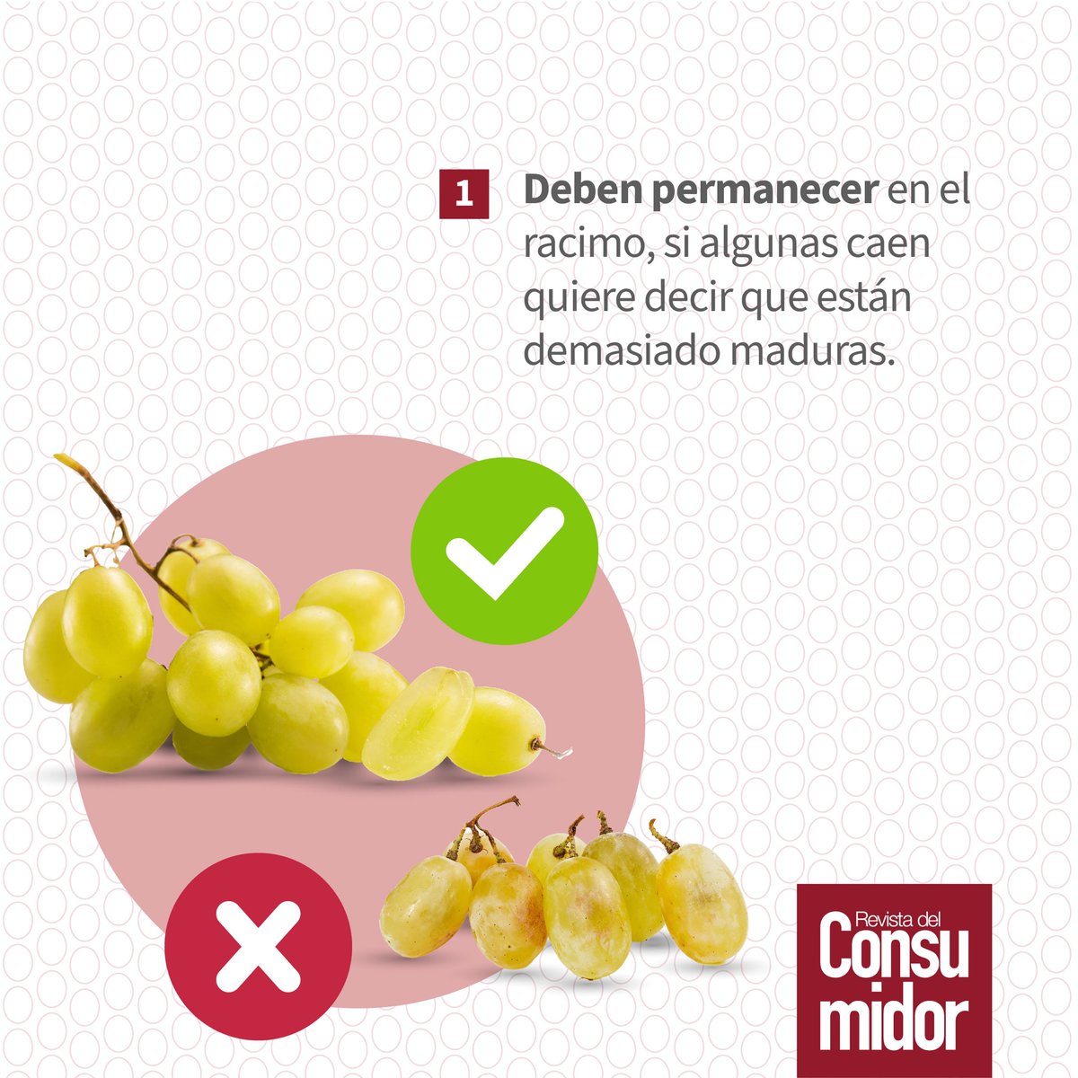 Profeco's tweet photo. 🍇La #Uva es rica en vitaminas A, B1, B2, B3, B6, C y E. Además contiene antioxidantes como antocianos, flavonoides y taninos.
🛒Aprende a comprarla y conservarla.
#ComeSaludable #ConsumeVariado https://t.co/SQpEGVa9gs