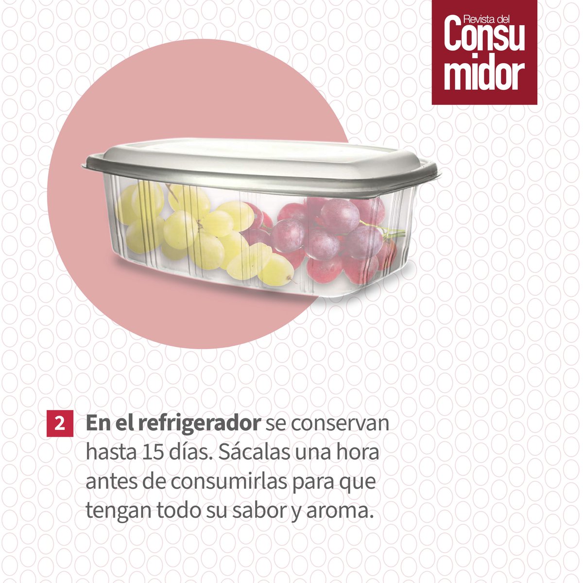 Profeco's tweet photo. 🍇La #Uva es rica en vitaminas A, B1, B2, B3, B6, C y E. Además contiene antioxidantes como antocianos, flavonoides y taninos.
🛒Aprende a comprarla y conservarla.
#ComeSaludable #ConsumeVariado https://t.co/SQpEGVa9gs