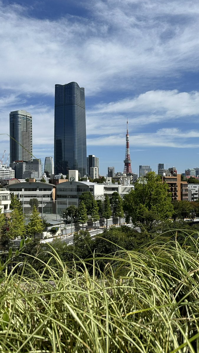 Quelques vues de Tokyo où nous entamons un séjour japonais à la découverte des hôtels Hoshinoya 🗼🎌 #Japon #Voyage #Tokyo