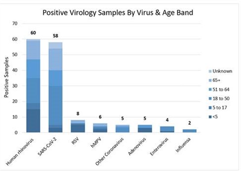 Main viruses circulating at present are rhinovirus and COVID-19. Rhinovirus causes the common cold and can cause wheezy illnesses in children or who have asthma. COVID-19 is well known! @rcgp @clininf @UKHSA we greatly appreciate GPs who do virology sampling, thanks all!