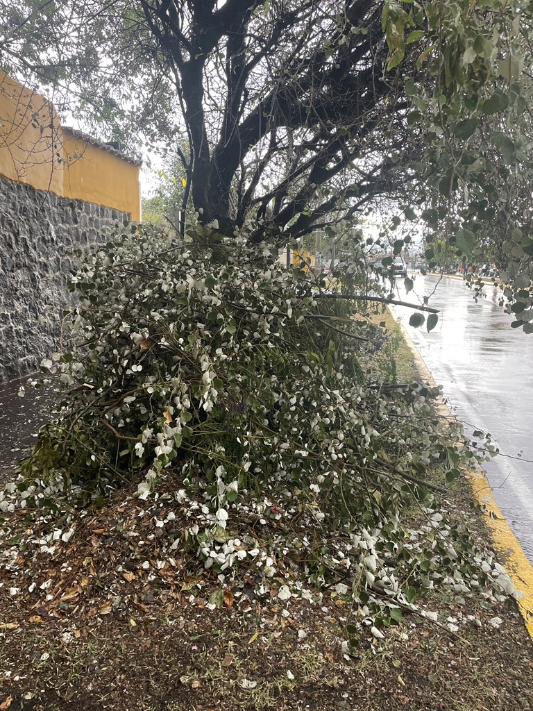 aventurecuador's tweet photo. @ElectricaQuito @MunicipioQuito @PichinchaGob 15:30 y aquí siguen los escombros no han retirado nada sr Jorge de la @ElectricaQuito. https://t.co/6MisE53RJa