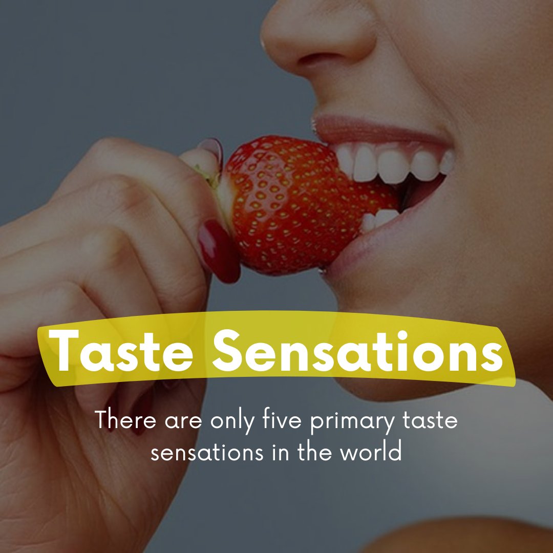 iamjekol's tweet image. There are only five primary taste sensations in the world: sweet, sour, salty, bitter, and umami (savory). Other tastes are based on combinations of these fundamental tastes. Much of our sense of taste is detected by taste buds in the mouth and transmitted to the brain.