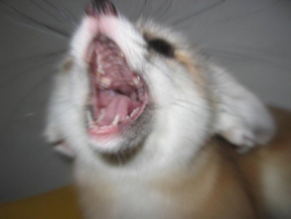 ‍ ‍‍ ‍ ⺌ ‍ ‘ 𝒏ari.‍ ‍ ‍‍ (@wildergaze) on Twitter photo 