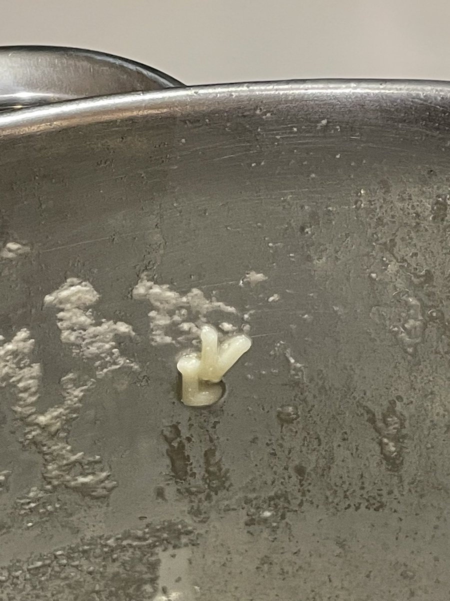 biogemmag's tweet photo. Hem sopat caldo pijo #sopetadelletres #LouisVuitton #sócimbècil https://t.co/oZATGFaXcS
