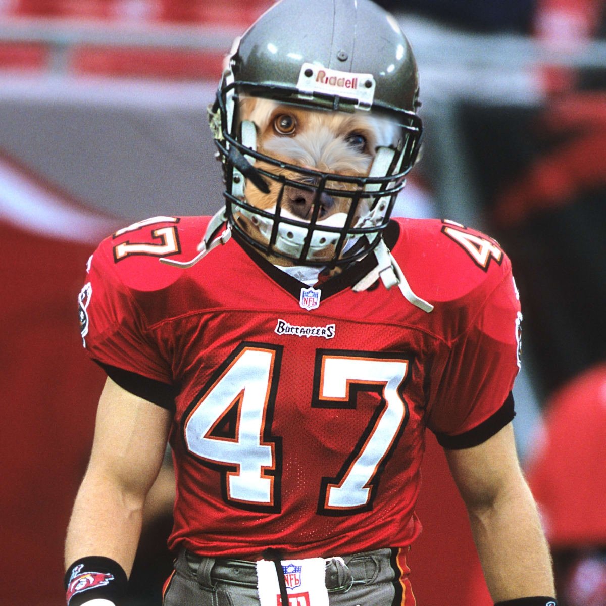 I share a birthday with legendary Buc John Lynch!