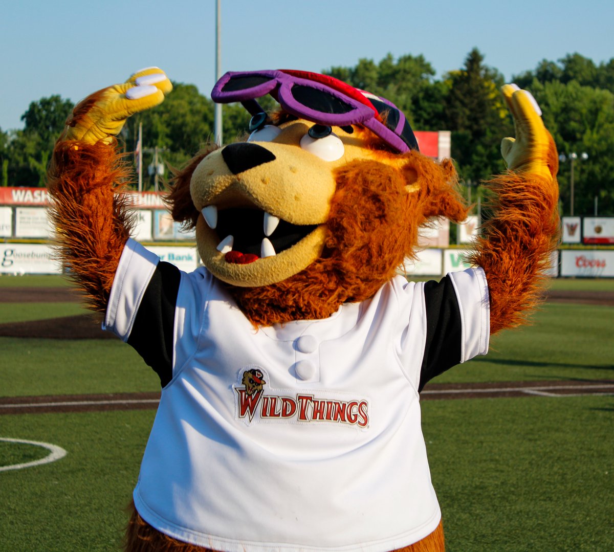 WashWildThings's tweet photo. Wild Thing appreciation post. You miss him and you know it. #WeMakeForeverFans https://t.co/u4SVQQhQyA