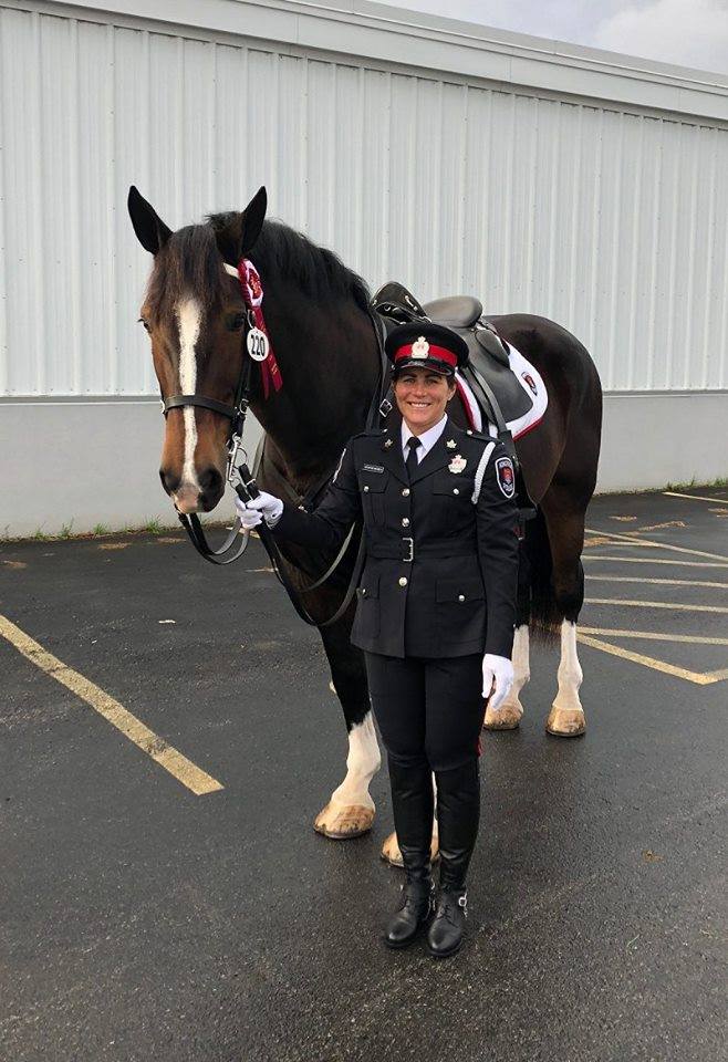 Many children love animals, and also aspire to be police officers. This is a beautiful picture of a truly #majestic #horse, and a professional looking law-enforcement officer.