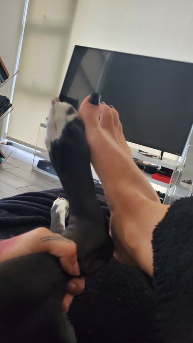The content you didnt ask for but need https://t.co/XR3e0ua26L