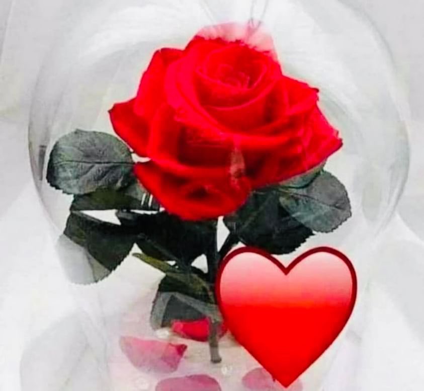 7ori___'s tweet photo. قال الوداع وعبرته تخنق الصوت
وقلت الوداع وعبرتي . خانقتنـي
حر الفراق   احر من جرعة الموت
حاولت اطفي جمرته ، واحرقـوني✍🏻 https://t.co/eXioCLM7U8