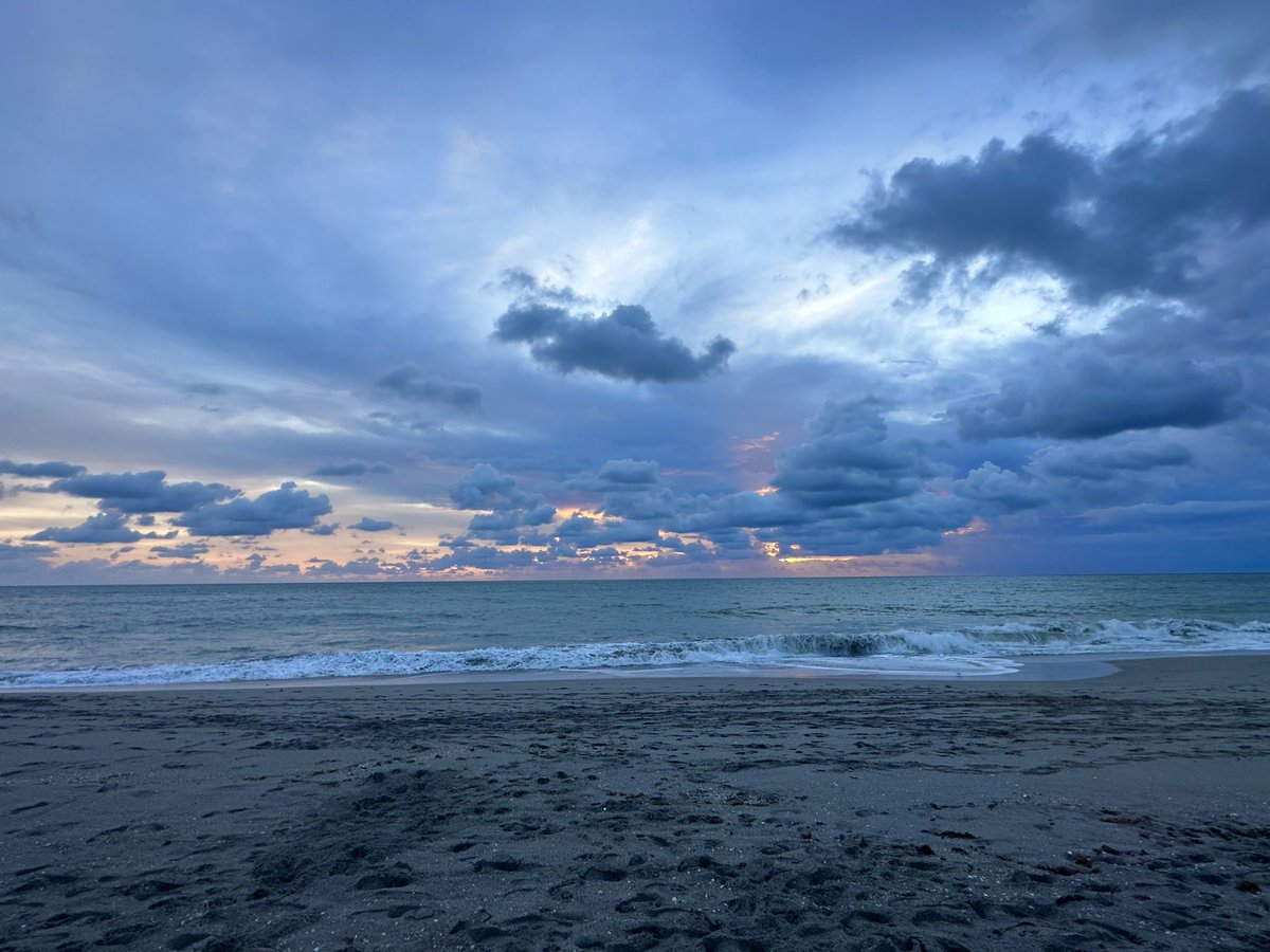 Deborah Beacham tweet media