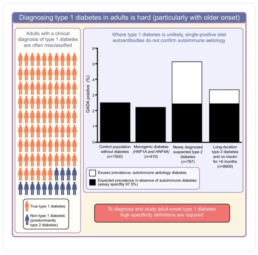 Reported changes in characteristics of older-onset #T1D may be explained by challenges in classification & the inadvertent study of those with & without autoimmune aetiology diabetes. @Exeter_Diabetes @ExeterMed @ExeterBRC @angusgjones @NicholasJohnMe1 tinyurl.com/3y2bzez3 🔓