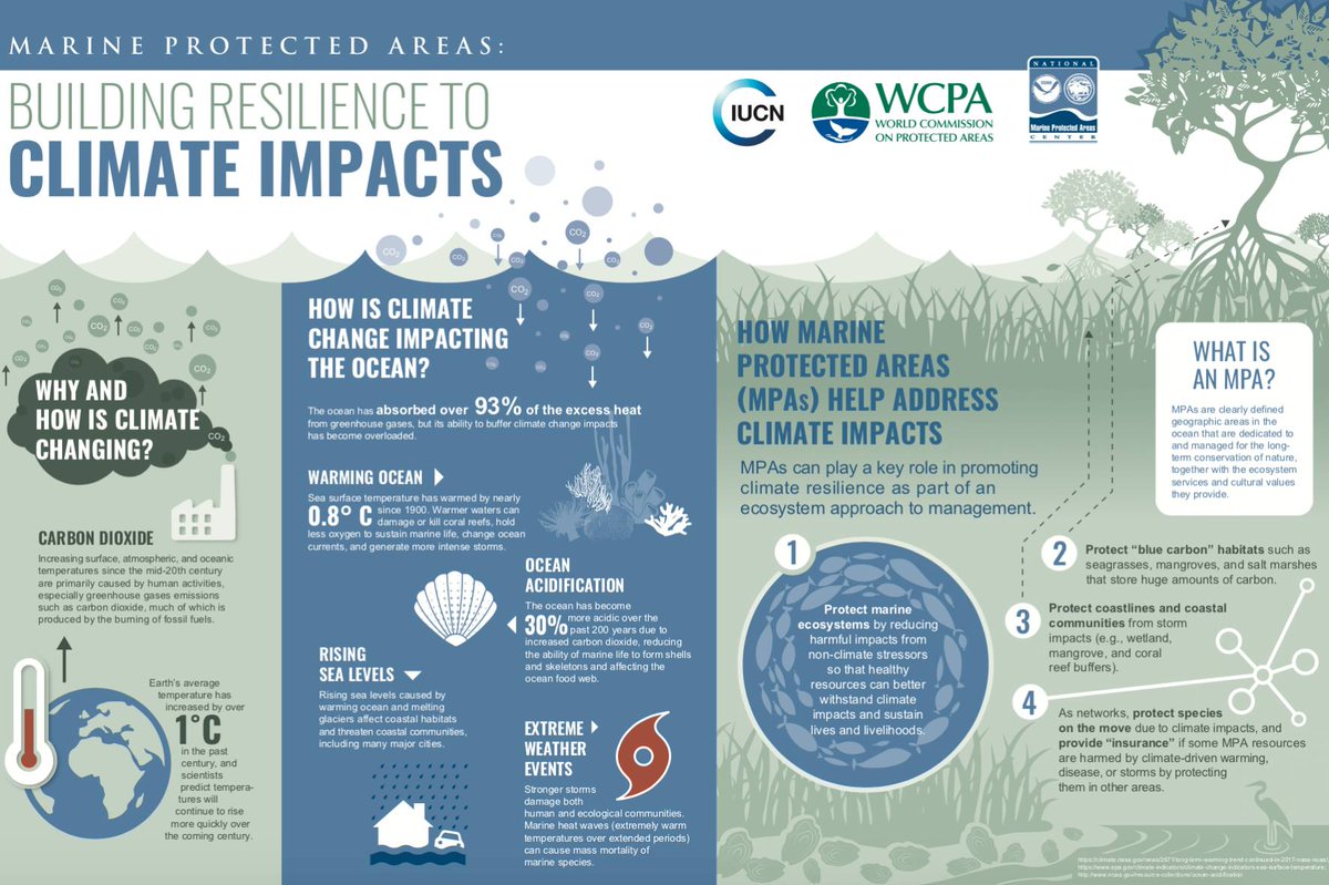 UNBiodiversity's tweet photo. Discover the importance of marine protected areas #MPAs &amp; why we need to build resilience to climate impacts ⬇️

Via @IUCN_WCPA @IUCN https://t.co/8JhZrpclLW