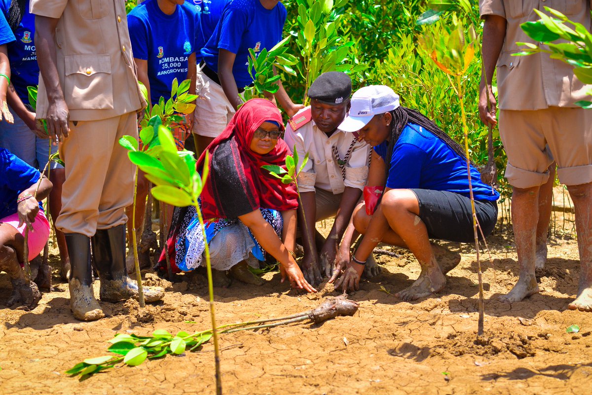 yfga_kenya's tweet photo. During the #mombasa35000mangroves, w are engaging the local community to foster sustainable livelihoods and ensure communities  benefit from natural resources conservation. Leaving no one behind in our efforts on environmental conservation. #ygakMombasa2023 #mangrovesrestoration https://t.co/cDcz3L6iMp