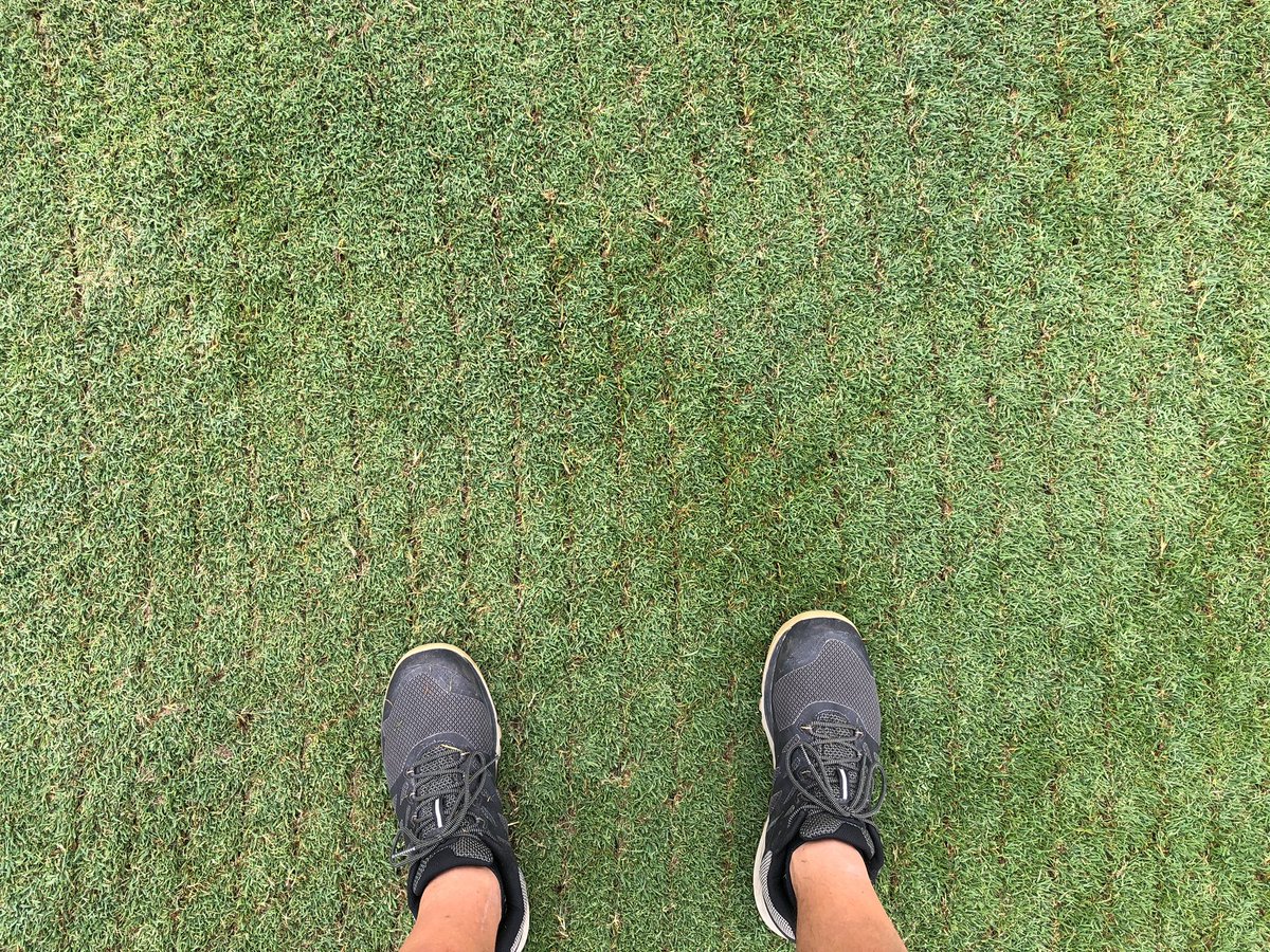 GLCCTurf's tweet photo. Now that fwys &amp; apps have been aerified and are mostly healed up.. We verticut them and remove some serious organic material! Huge fan of the circle VCut with the @1stproducts #VC60 as it saves time and ups the aggression a couple clicks! #GLCC #GullLakeCC #FirmandFast #SandNext https://t.co/Yb5nu9xJfi