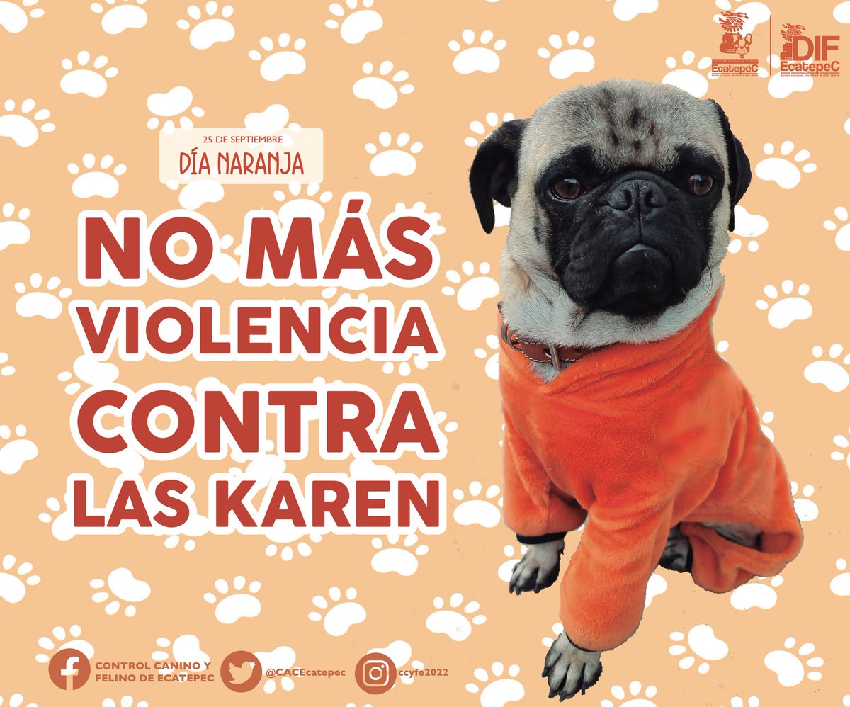 #DiaNaranja | Queremos que todas las Karen del mundo sean libres de violencia. 🎗🧡

Creemos conciencia y erradiquemos la violencia contra contra mujeres y niñas . 🎗

#DIFEcatepec #MunicipioConValores