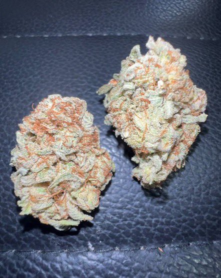 Satsuma_sokai's tweet image. 美味いのしっかり用意してます^ ^
もうしばらくお楽しみにお待ちを🙏🙃