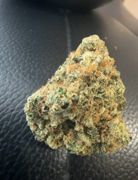 Satsuma_sokai's tweet image. 美味いのしっかり用意してます^ ^
もうしばらくお楽しみにお待ちを🙏🙃