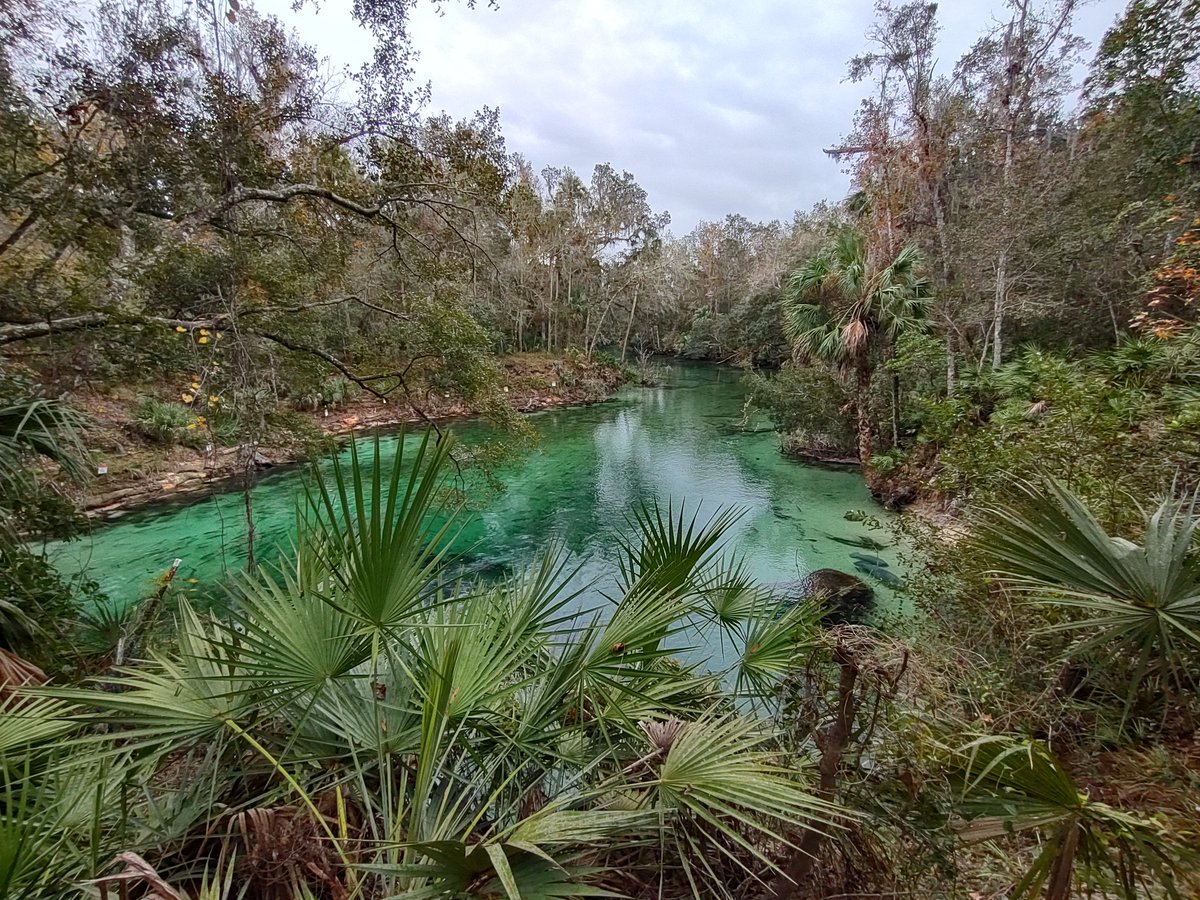 Blue Spring Adventures tweet media