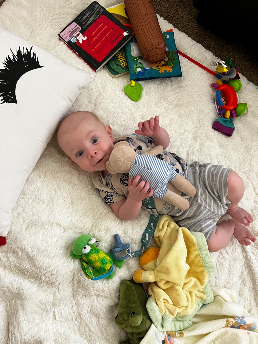 Erin Sauer 🐸 tweet media