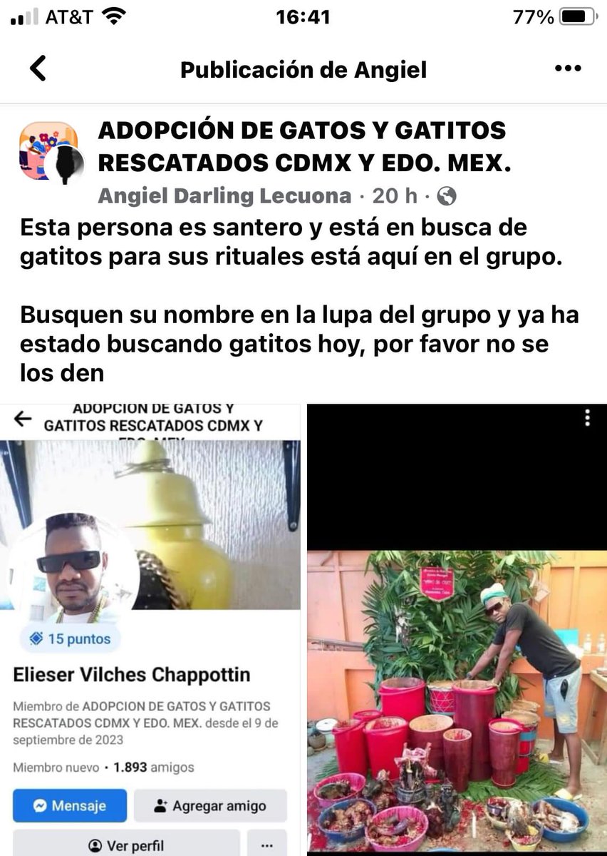 Mónica Pineda. Gente x la Defensa Animal (GEPDA) tweet media