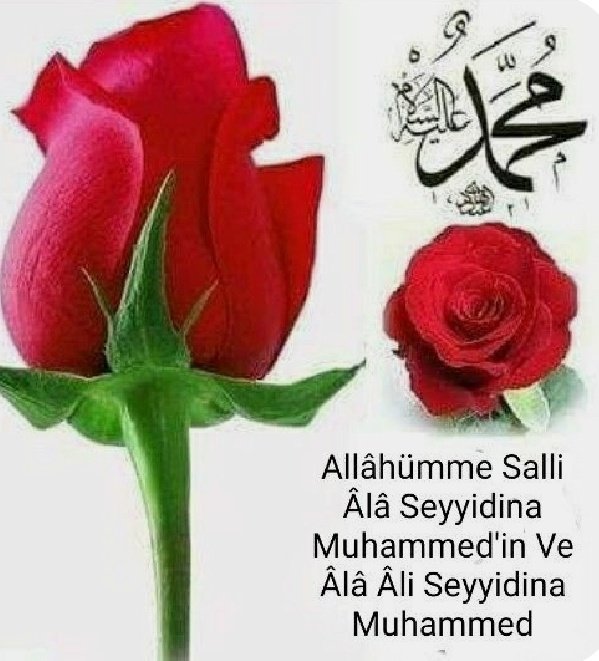 @serapca_123 @632_zeyno @busrrr_244 @25_er_dadas_ @0_srpll @__asihatun__1 @__RteMelek_1907 @adberilgennn0 @ayladerya61 @ARZU61__ @Ayse3245 @Eryiit45392Suna @Serpil5934 @zeynepreis_58 @gakgowomen23 @grbz6040_zeyno @htcebltc @Ecrin_Naz1453 @nevimkasap @__pErvIN__ @pasabey2525 @_____hivdelal @Selma1017979631 @_Ha_Ti_Ce_ @bennu0634 @Halime24038563 @__Zulal_ @Ceylan___Fatma @caglar063466 @Elmasnazli99 @aylin_cee @Ak_gakgose_23 @__ASK_i_DeRuN_1 @Dag_Sn_46_43 @aysedogan1955 @aysegul_berk_ @Fatma14533418 @Drsultancakir Teşekküt ederim prensesim🌹🌹
Seninde Mevlit Kandilin mübarek olsun🤲🥰❤🥀