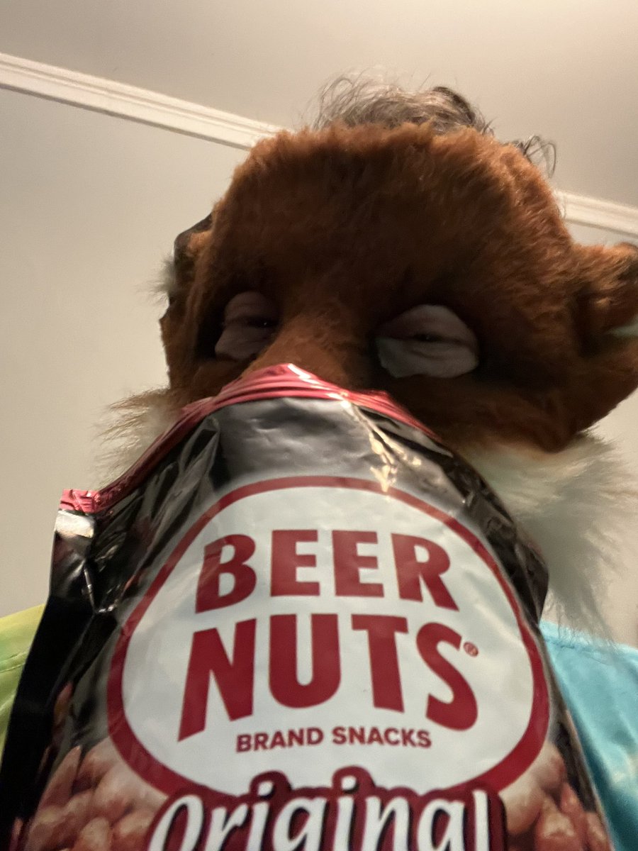 A 🦊’s favorite snaq!  @BEERNUTS #furry #fursuiting #beer