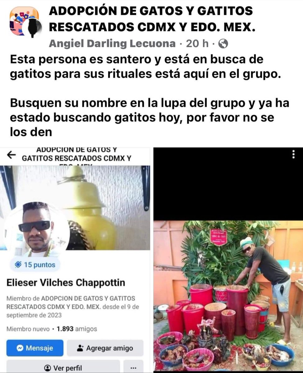 Gente por la Defensa Animal (GEPDA) tweet media