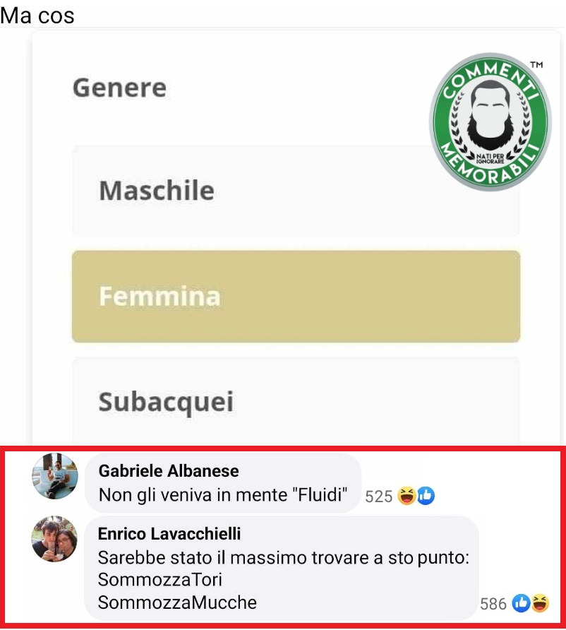 CM_Memorabili's tweet photo. Domande molto "Subbaqqui, su Rieducational Channel" [Cit.]
#commentimemorabili #domande #generi https://t.co/0zLD1utC5u
