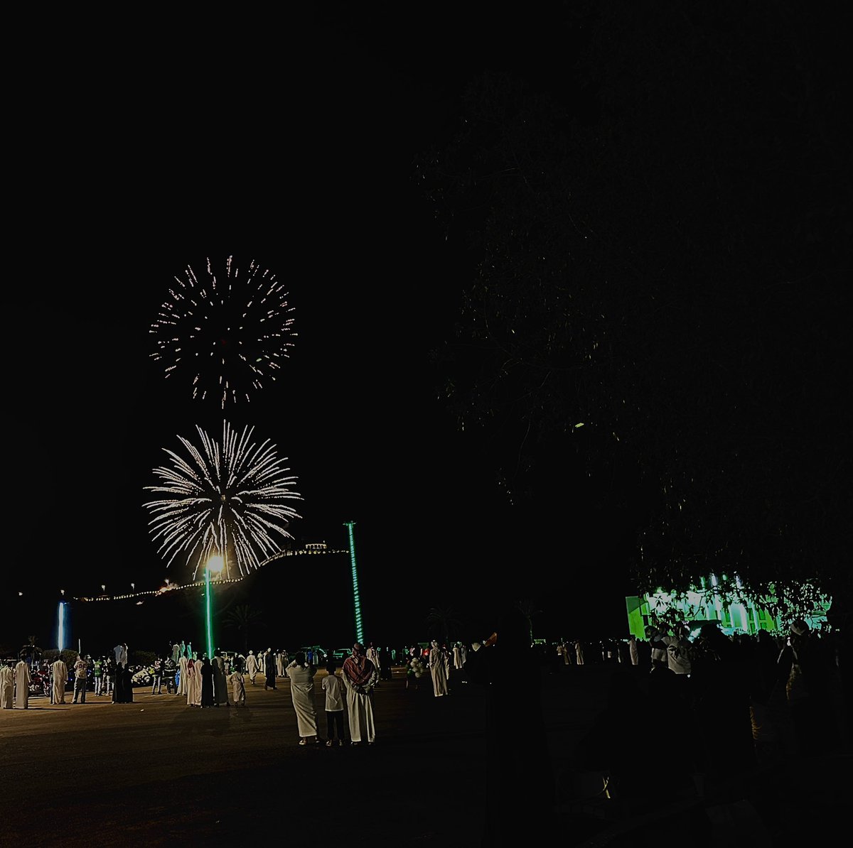 shoug3bdullah's tweet photo. @Baladia_Besha #بيشة_تحتفل_بيوم_الوطن #بلدية_بيشة #اليوم_الوطني_93 🇸🇦 🎇🎆 https://t.co/keJ0Ky5EBA