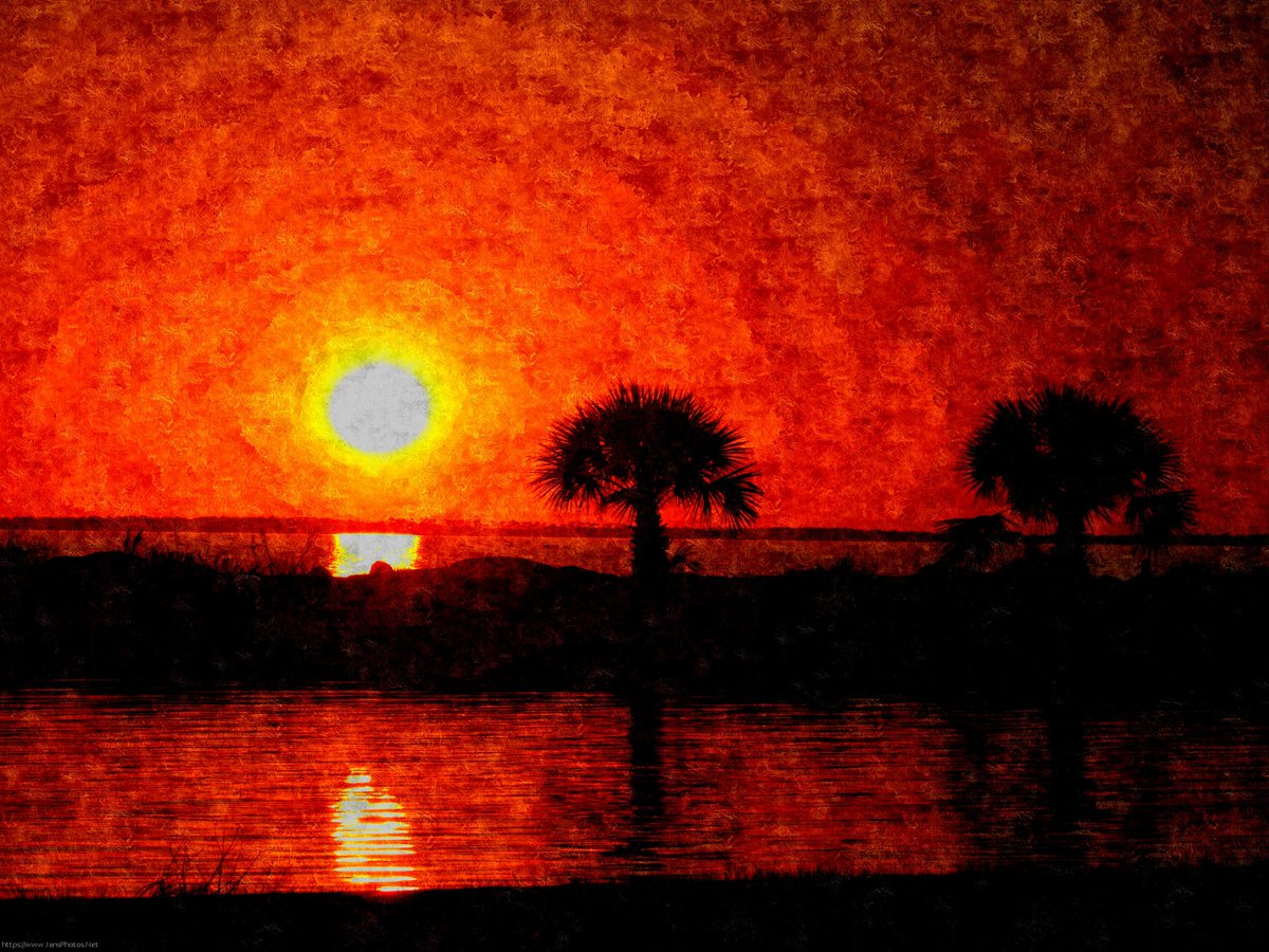 abacoian's tweet photo. Working on getting a new wheelchair that will help me stand more regularly on a daily basis. I'm trying to raise the funds to afford the standing feature by selling some of my photography. Please see my Etsy store if interested. https://t.co/EenuaYu4Hu #artforsale  #floridalife https://t.co/0SXD9H1zi5
