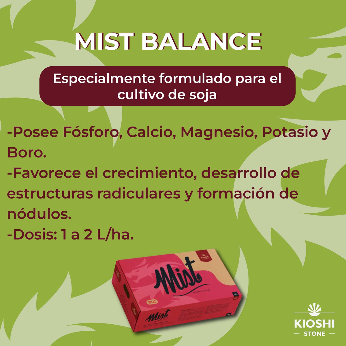 Kioshi Stone S.A. tweet media