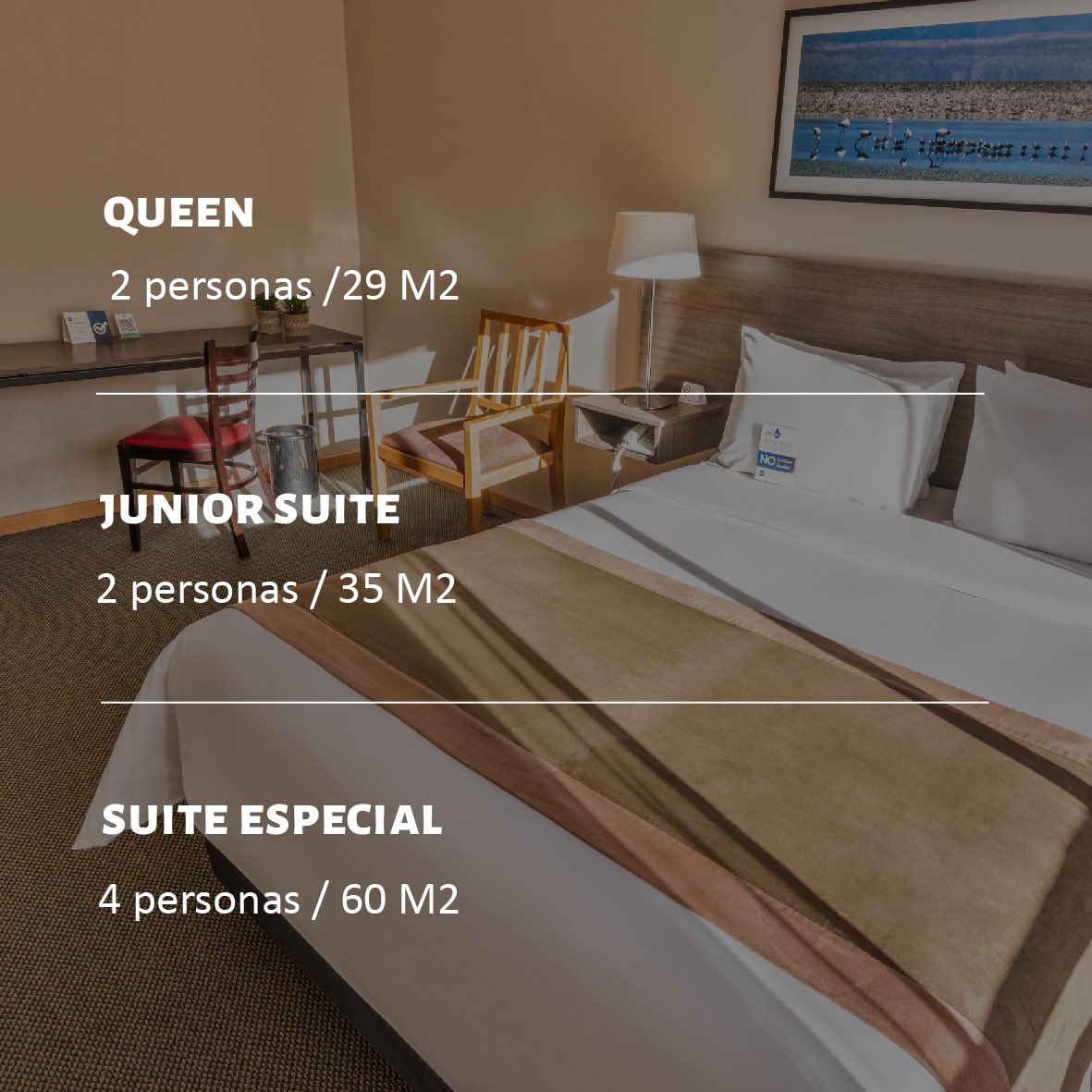geotelcal's tweet photo. Confortable estadía en Calama 🏨 Largas estadías requieren de espacios cómodos. Si estás en Calama ¡Te esperamos! 

Desayuno Buffet 
Carta / Drinks 
Cena buffet 
Amplias habitaciones 
Wifi 
Excelente ubicación 

Haz tu reserva a través de https://t.co/GtofVXG03i https://t.co/ejpdaWNfax