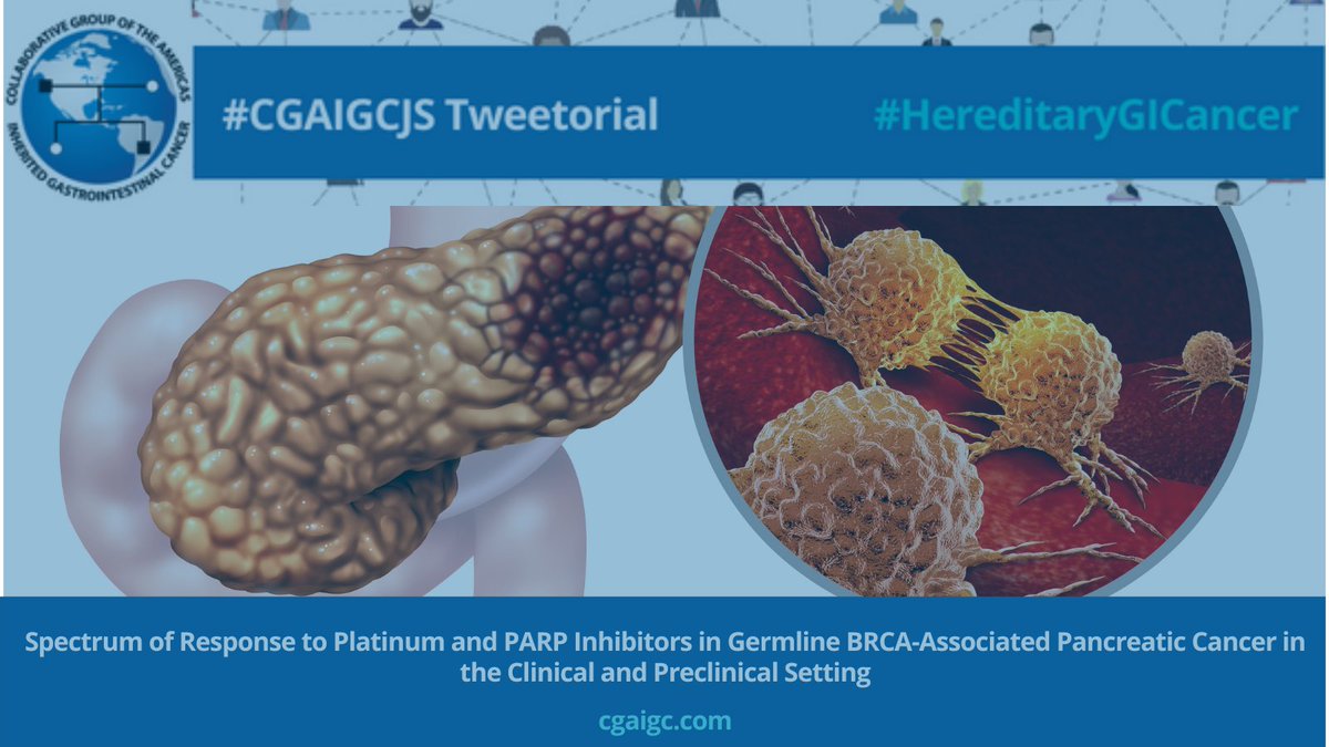 1/Welcome to the #CGAIGC Journal Scan 📰 Tweetorial by #CGAIGC Communications Cttee member <a href="/asaf_maoz/">Asaf Maoz</a>  focusing on a paper that takes a deep dive into #germline BRCA1/2-associated #pancreaticcancer  (PDAC)‼️

#HereditaryGICancer
🧵