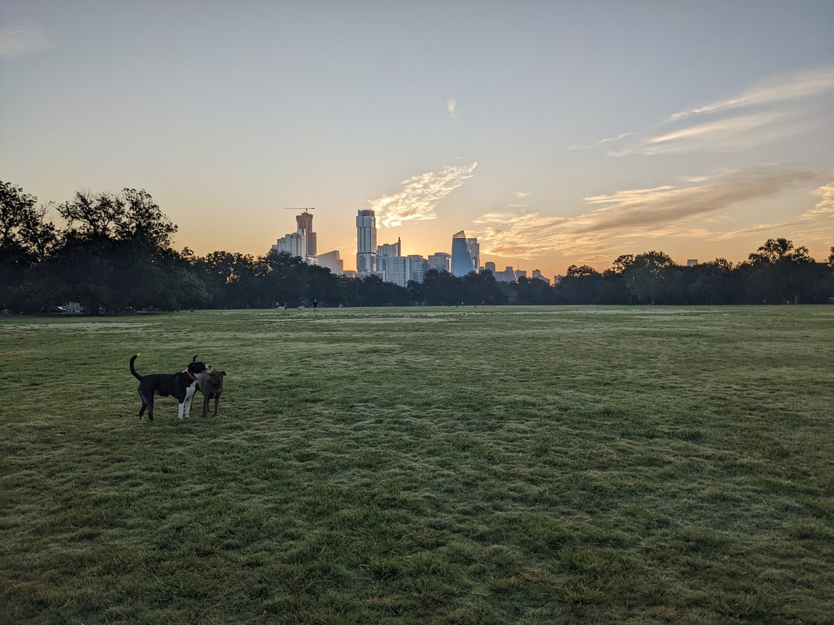 RPLUM14's tweet photo. There are fewer places on earth more beautiful than the dog park at dawn #austindog #atxdogpark #auditoriumshores #austinpetsalive #AdoptDontShop #shelterdogs @ConceptualError https://t.co/tsC7hBm4M5
