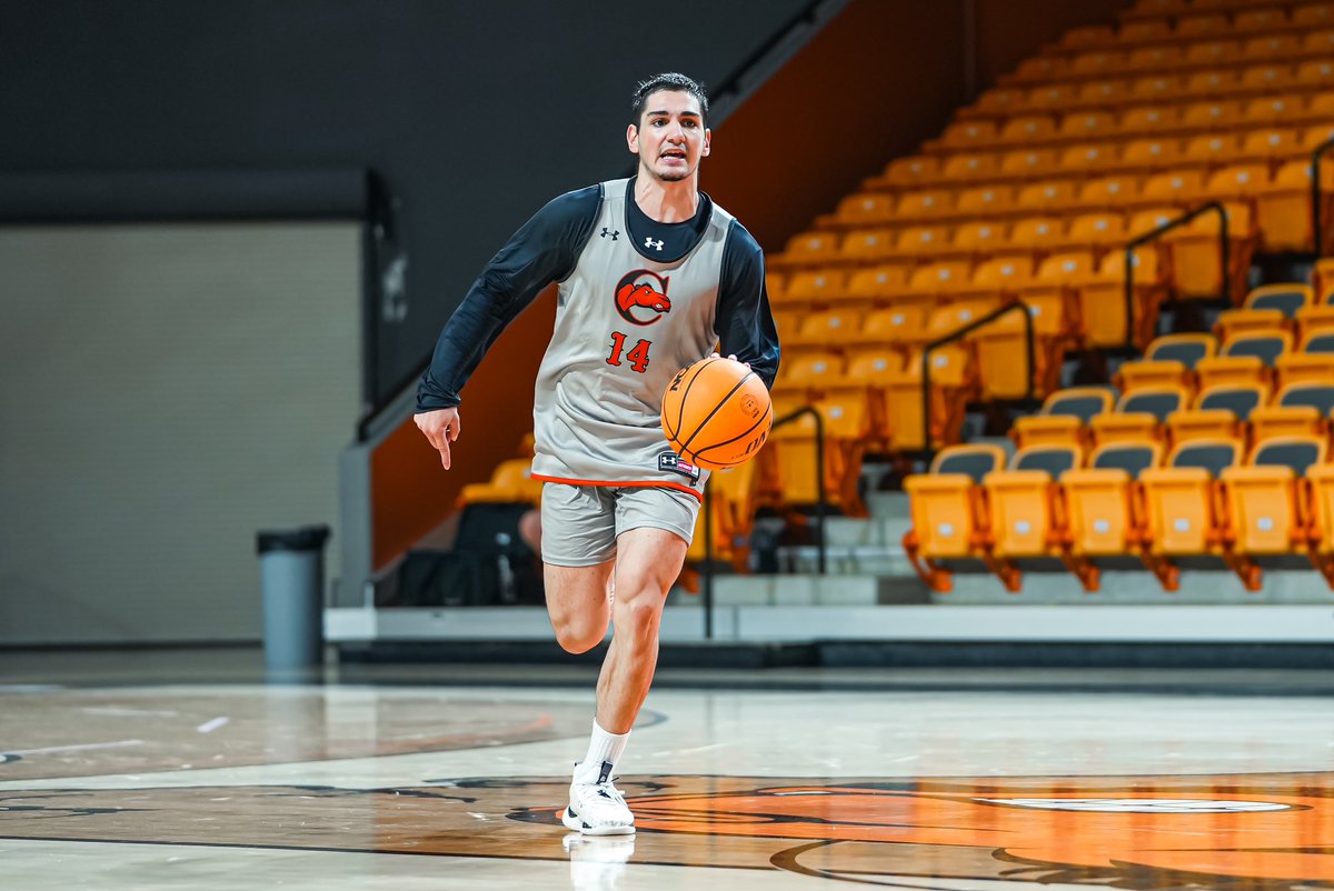 Campbell Basketball tweet media