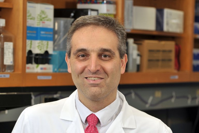 Findings from Lurie Cancer Center investigators led by Hossein Ardehali, MD, PhD, suggest that reducing anabolism by reducing iron could be a potential treatment strategy for cancer, according to a study in @NatureCellBio: news.feinberg.northwestern.edu/2023/09/25/inv… via @NUFeinbergMed #mTOR