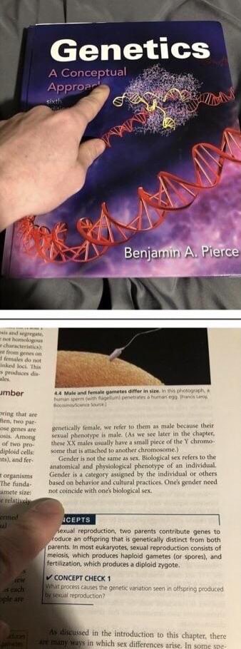 Cy (@mycursedrmnce) on Twitter photo <a href="/TakesAppalling/">bad bad no good takes ๐๐ ๐ต๐ธ ๐ณ๏ธโโง๏ธ ๐</a> Basic biology? Oh hey I know that!! <a href="/TakesAppalling/">bad bad no good takes ๐๐ ๐ต๐ธ ๐ณ๏ธโโง๏ธ ๐</a> Basic biology? Oh hey I know that!!