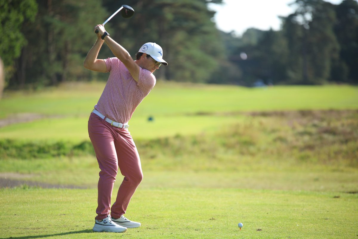 Helen Dowling Instituut tweet media