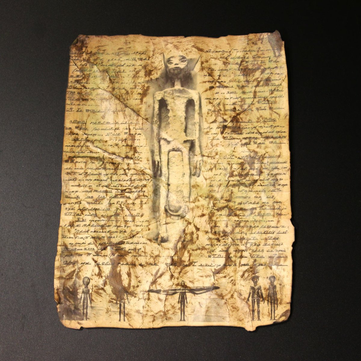 Kutuleras tweet media