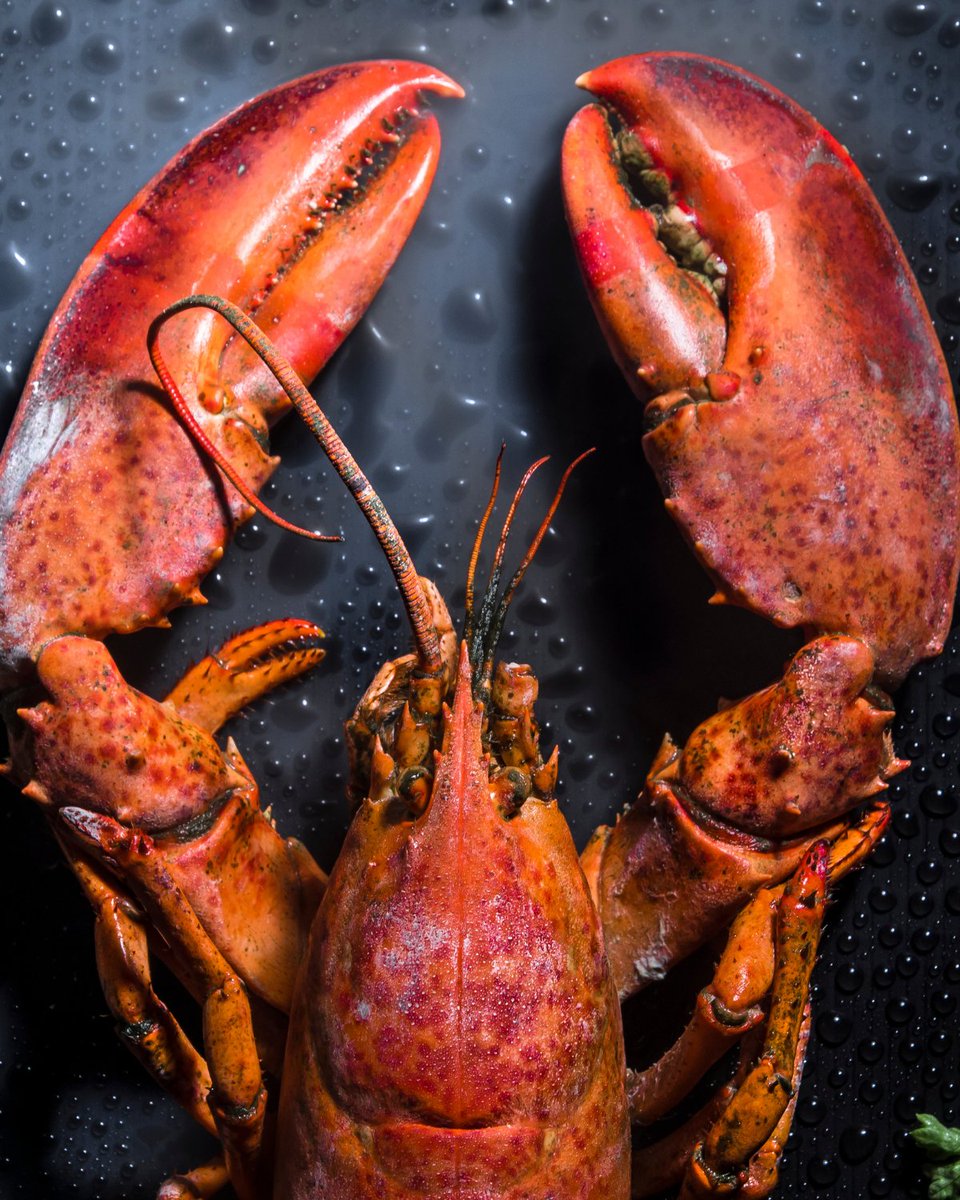 thelacrabshack's tweet photo. 🦞 Happy Lobster Day, seafood lovers! 🦞

What better way to celebrate than indulging in some succulent, mouthwatering lobster dishes? �� Whether you're a butter-dipping pro or a first-time lobster lover, we've got you covered!
https://t.co/myFW9Jycq8 https://t.co/sL1mbiAbvb