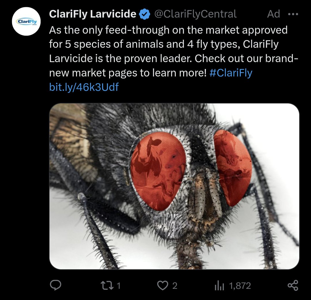 Finally a good ad on this site