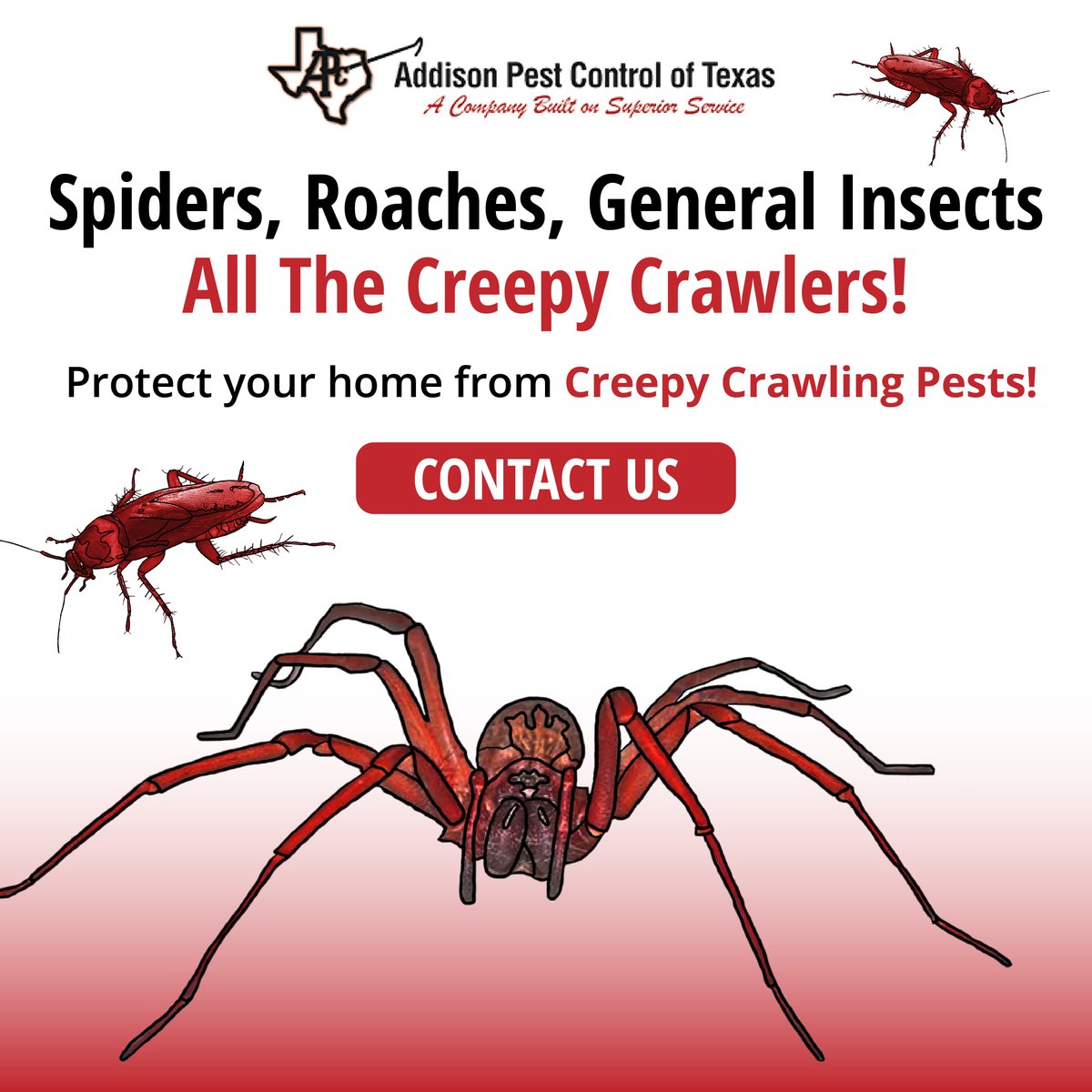AddisonPest's tweet image. Noticing some creepy crawlers around your home? Act fast and contact APC today! #roachremoval #spiderremoval #insectremoval#insects #wildliferemoval #northtexas #pestcontrol  #pestcontrollife