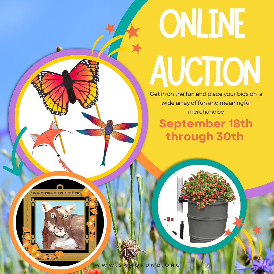 There's still time to get in on the fun! Visit SAMO Fund's online auction and place your bids on goods and experiences alike. 

samofund.org/auction-2023

#Auction #Fundraiser #ExploreSAMO #SantaMonicaMountains