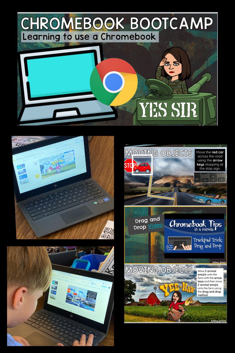 Laurin Rose tweet media