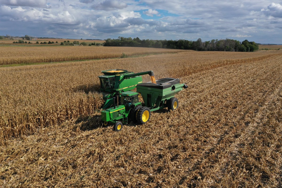 Mitch Mehlhaf tweet media