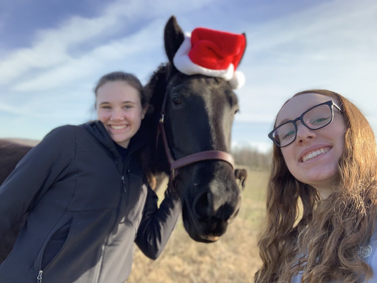 leonc's tweet image. The horse was confused.