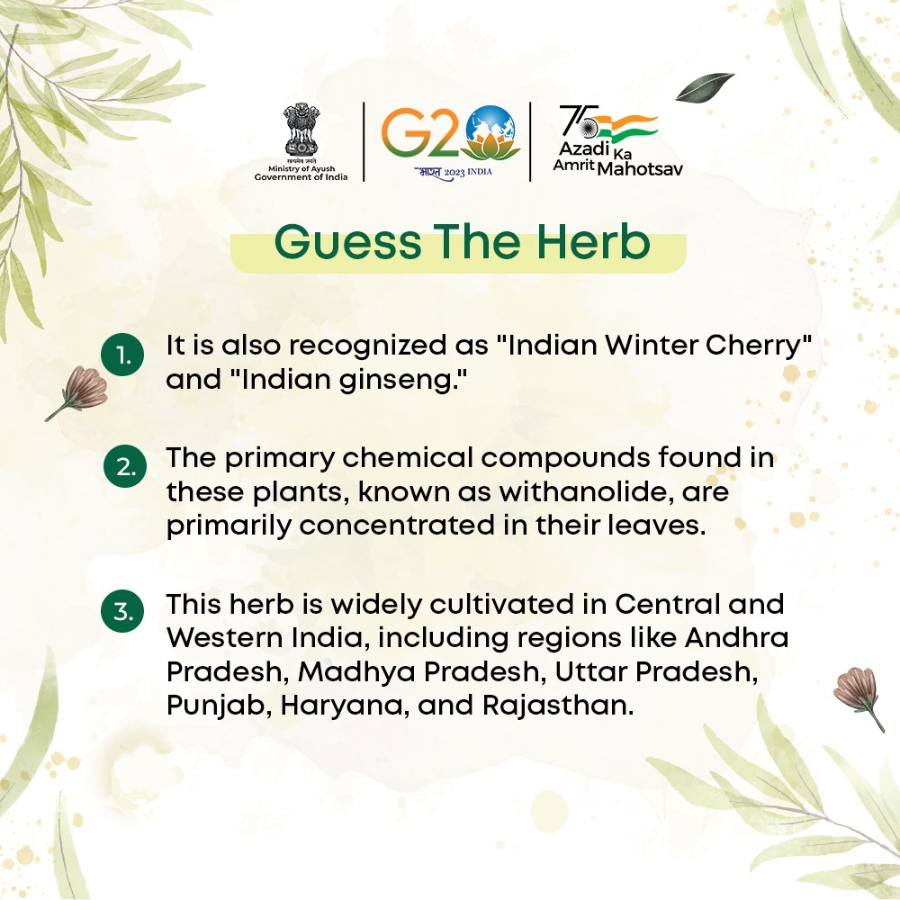 moayush's tweet photo. We're back with this week's quiz challenge in the world of #Ayush.

Test your knowledge and comment your answer in the comment section below. Stay tuned with us to know the correct answer.

#Quiz #Ashwagandha #Ayurveda #Siddha #Unani 
@MIB_India https://t.co/Ukc3EBGIAY